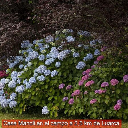 Casa Manoli Luarca Konuk evi Almuña Dış mekan fotoğraf